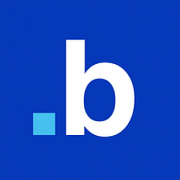 Logo agencji Bluerank
